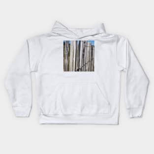 Fence Kids Hoodie